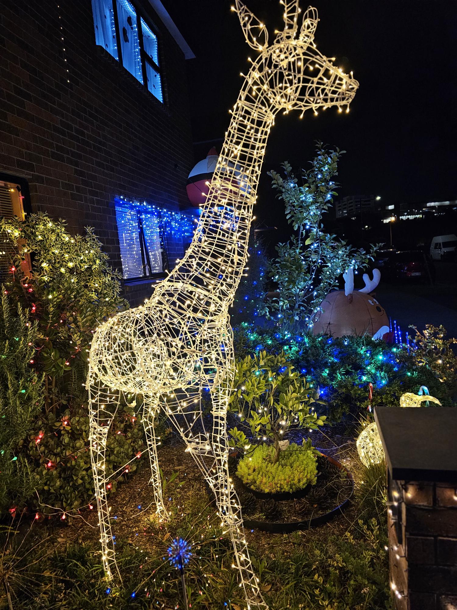 A tall illuminated giraffe surrounded by Christmas lights